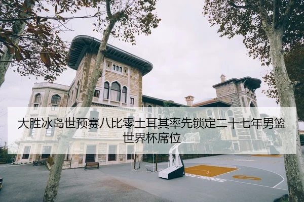 大胜冰岛世预赛八比零土耳其率先锁定二十七年男篮世界杯席位